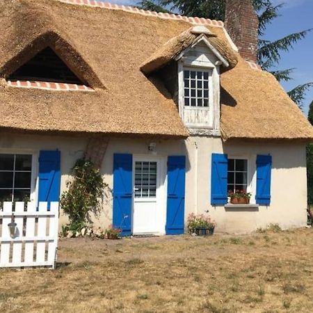 Chaumiere Avec Sa Toiture Recouverte De Chaume !!! Donnemain-Saint-Mames Екстер'єр фото